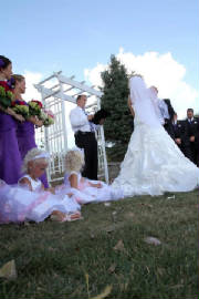 webassets/wedding.jpg